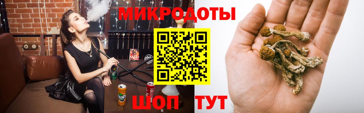 Псилоцибиновые грибы MAGIC MUSHROOMS  Вход с VPN  Верхняя Пышма 